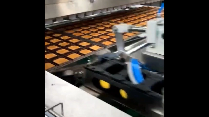 مجموعة قوالب خبز التوست الصناعية