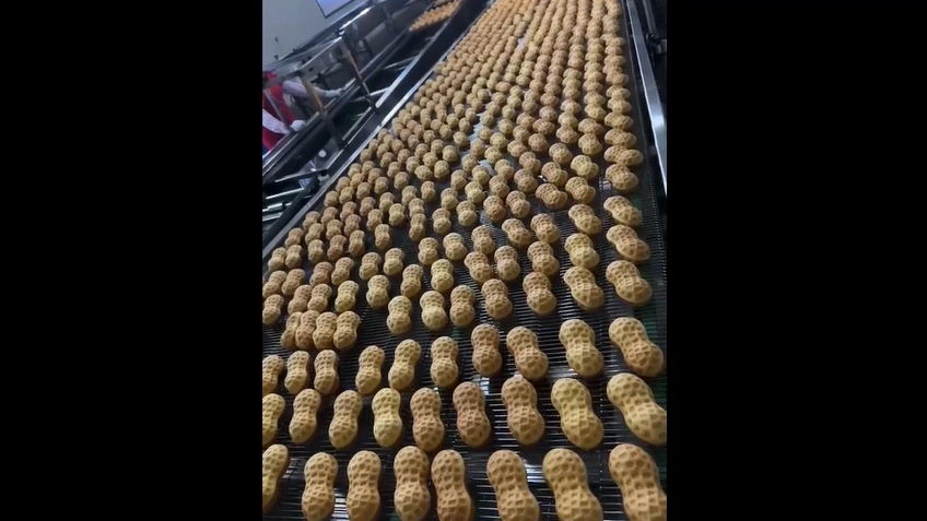 صواني مخبوزات لإنتاج كيكة على شكل حبة الفول السوداني