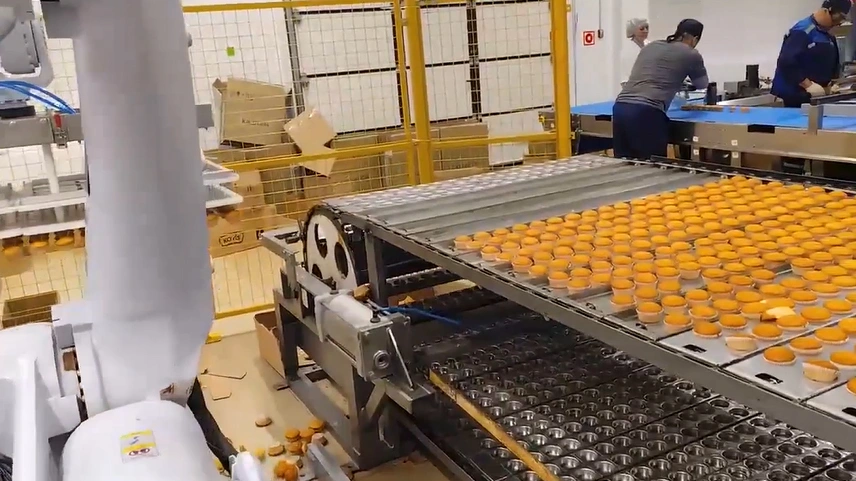 خط إنتاج الكب كيك