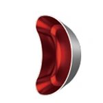 أنواع القوالب