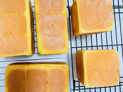 عينات المنتج